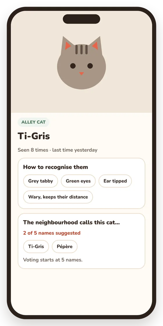 App screen: a cat's card