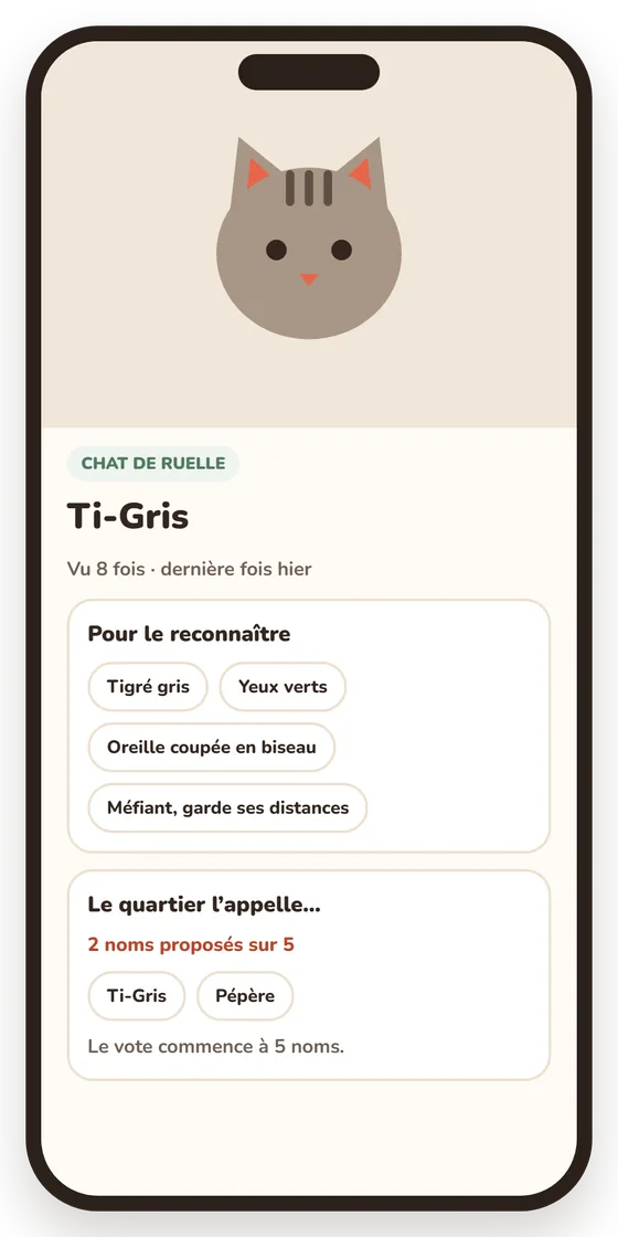 Écran de l'app : la fiche d'un chat